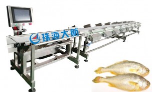 海產(chǎn)業(yè)騰飛，始于黃魚分選