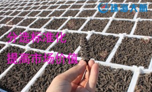 大家都用重量分揀機(jī)分選海參了！您還在用人工分選嗎？