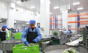 蔬菜配重機(jī)：解決人工成本與效率問題，助力蔬菜加工發(fā)展